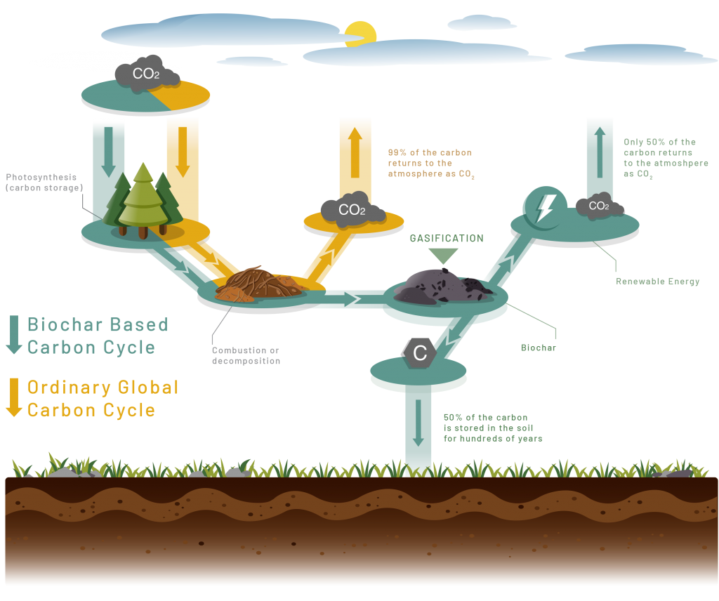 Carbon cycles info-graphic