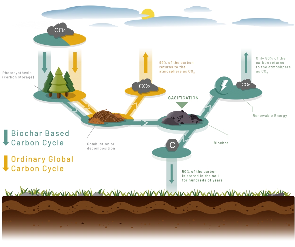 Local Carbon Localcarbon Net